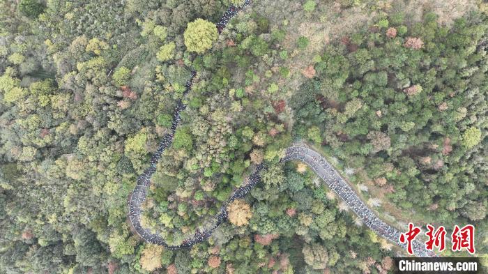 近万名徒步爱好者齐聚木兰山 共赴全民健身登山